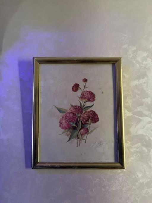 Casa Marron Daire Şafşavan Dış mekan fotoğraf